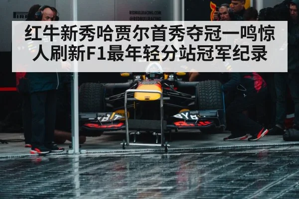 Red Bull racing team