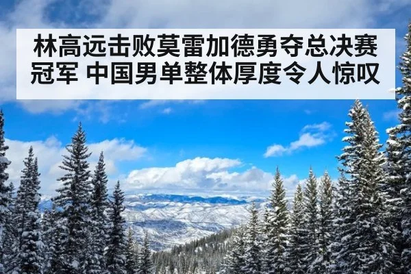 林高远击败莫雷加德勇夺总决赛冠军 中国男单整体厚度令人惊叹